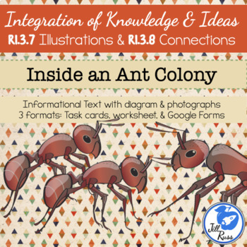 Preview of Ant Colony Diagrams Illustrations Task Card RI.3.7 RI.3.8 Distance Learning