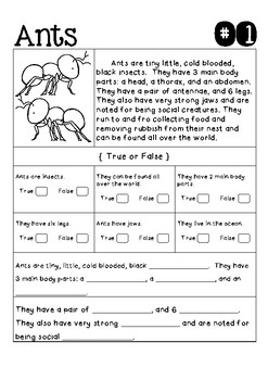 Ant Comprehension Test Time by Deborah Perrot - The Paper Maid | TpT