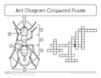 Ant Diagram Sketch Crossword Simple Crossword Puzzles Daily Crossword