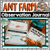 Ant Farm Observational Journal