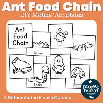 Preview of Ant Food Chain Mobile