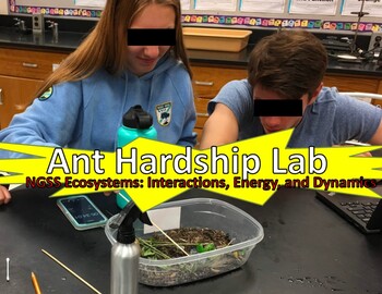 Preview of Ant Hardship Lab (NGSS Ecosystems: Interactions, Energy, and Dynamics)