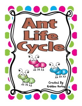 Preview of Ant Life Cycle