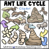 Ant Life Cycle Clip Art Whimsy Workshop Teaching