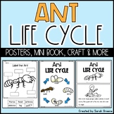 Ant Life Cycle