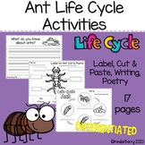 Ant Life Cycle Activities Mini Unit