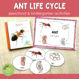 Ant Life Cycle Activity Set - Preschool & Kindergarten Sci