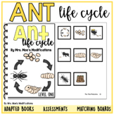 Ant Life Cycle - Adapted Book