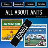 Ant Life Cycle Bundle with Reading Passages, Activities & 