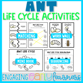 Preview of Ant Life Cycle Printable Word Wall & Activities | Preschool PreK Kindergarten