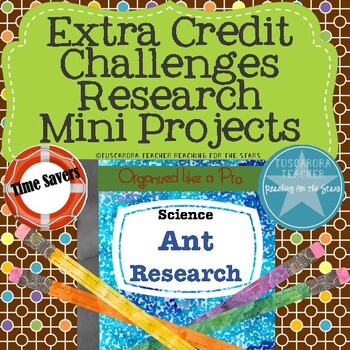 Preview of Ant Research
