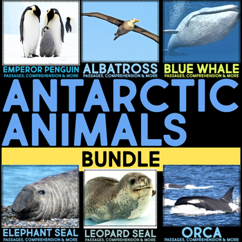 Preview of Antarctic Animal Research Nonfiction Reading Passages, Comprehension, & Report