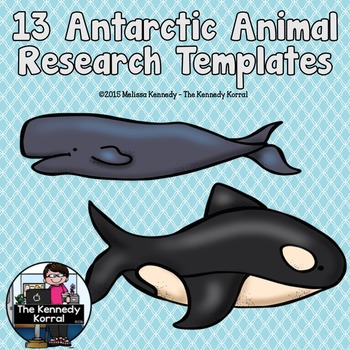 Preview of Antarctic Animals BUNDLE