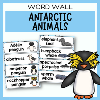 Preview of Antarctic Animal Word Wall | Antarctica Flashcards