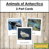 Animals of Antarctica 3-Part Cards - Continent Cards