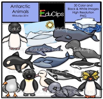 Preview of Antarctic Animals Clip Art Bundle {Educlips Clipart}
