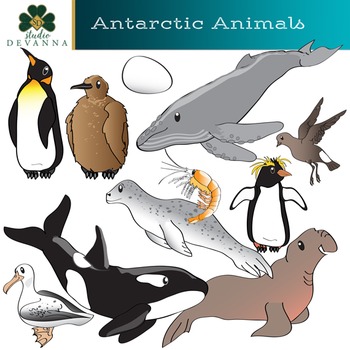 Preview of Antarctic Animals Clip Art - South Pole Wildlife