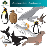 Antarctic Animals Clip Art - South Pole Wildlife