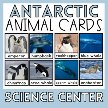 Preview of Antarctic Animals Montessori Preschool Science Center Activities