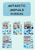 Antarctic Animals Puzzle Pack