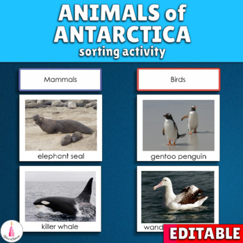 Antarctic Animals Montessori Sorting Activity by I Believe in Montessori