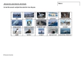 Antarctic and Arctic Animals - Venn Diagram Sorting Activity