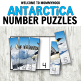 Antarctica Number Puzzles for Math Centers or Winter Theme