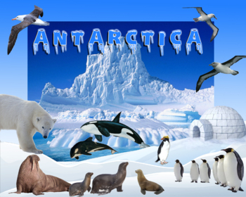Preview of Antarctica Poster 24 by 30 inches
