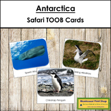 Antarctica Safari TOOB Cards - Montessori