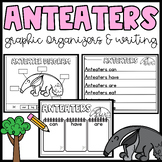 Anteater Graphic Organizers- Writing- Labeling Parts of a 
