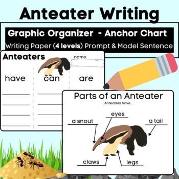 Preview of Anteater Writing & Labeling Informative Have Can Are w/ Anchor Charts Mammals