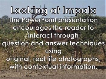 Preview of IMPALA ANTELOPE - Interactive PowerPoint presentation with video snippets