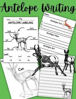 antelope in comanche language