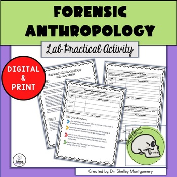 Preview of Anthropology Lab Activity for Forensics or Anatomy | No Prep | Digital & Print