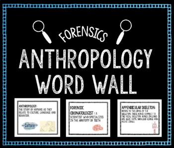 Preview of Anthropology Word Wall