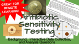 Antibiotic Resistance Online Lab and Data Collection