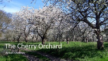 Preview of Anton Chekhov - The Cherry Orchard PowerPoint Presentation Distance Learning