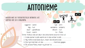 Preview of Antonieme Poster