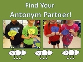 Antonym Activity