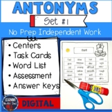 Antonym Worksheets and Games #1