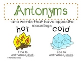 Antonym Poster and Interactive Booklet