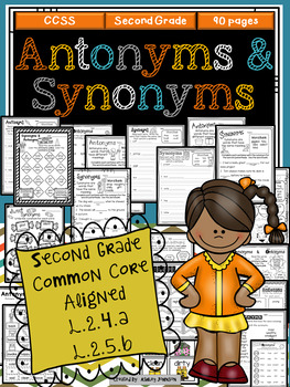 antonyms and synonyms for summarize