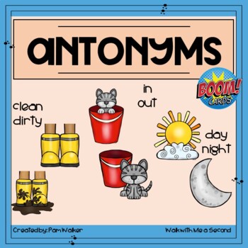 Antonyms | Boom Learning | Distance Learning by Walk with Me a Second