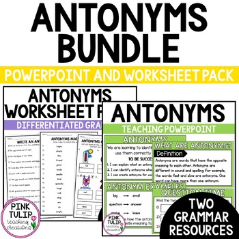Preview of Antonyms Bundle - Worksheet Pack and Guided Teaching PowerPoint