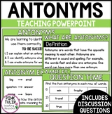 Antonyms Grammar PowerPoint - Guided Teaching