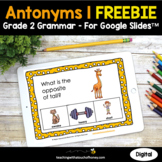 Antonyms Grammar Practice | 2nd Grade Grammar Activities FREEBIE