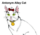 Antonyms, Homonyms & Synonyms Song (MP3)