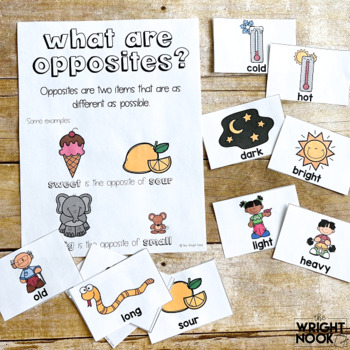 opposites worksheets identifying antonyms by the wright nook tpt