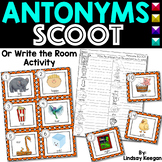 Antonyms SCOOT or Write the Room