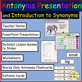 Preview of Antonyms Synonyms Grammar PowerPoint Presentation Worksheets Flashcards